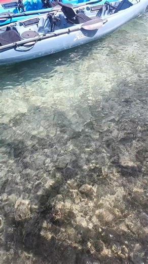 We on a kayaking trip and fresh catch coming in just now | Aruba Outdoor Adventures