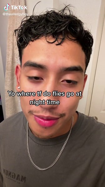 Where Do Flies Go at Night? Exploring the Nocturnal Habits of Flies