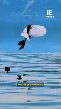 MIT Built a Robot That Swims Underwater — Then Flies Out Like a Diving Bird