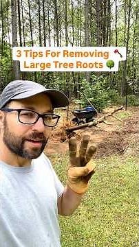 3 Tips for Removing Large Tree Roots #gardening #landscaping #trees #fruittrees