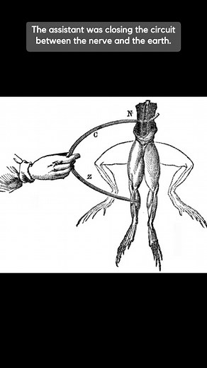 🐸 #science #galvanize #history #tibees