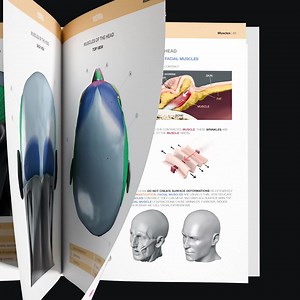 1.4M views · 2.6K reactions | Our body knows what we see even before we see it, especially in people's faces. ✨ This book uses 3D models and live model references, color-coded muscle diagrams and dynamic movement descriptions to help you get them right! | Anatomy For Sculptors | Facebook