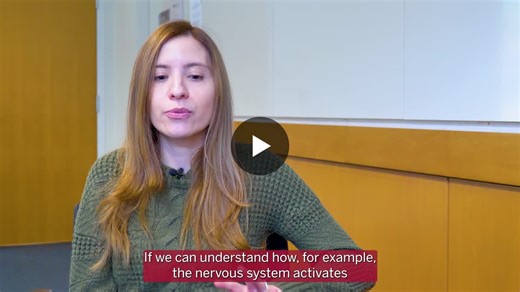 How Axolotls Rebuild Themselves | Duygu Payzin Dogru, PhD 22 | Harvard Kenneth C. Griffin Graduate School of Arts and Sciences