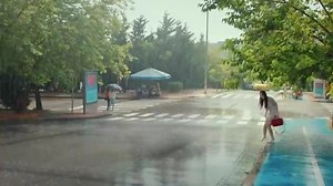 16K views · 238 reactions | Již od 1. února nabídne iPrima v...