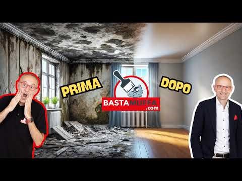 Perché la muffa è difficile da eliminare? Errori comuni e soluzioni reali