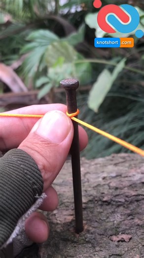 One Loop Knot on String You Should Know 🔥 #knotshortchannel | Knot short channel