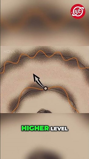 Quantum Leap: Electrons, Photons, and Energy Levels Explained!