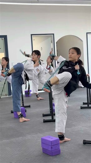 TS_taekwondo #ts #tkd #taekwondo #kicking #sidekick #training