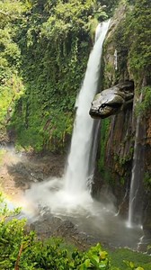 Ular anaconda raksasa penghuni air terjun 😱 #anaconda #alamliar #natur #amazonia #sucuri | Rudi Guntara