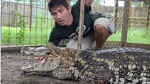 Hand Feeding Caiman! | Wild Charles