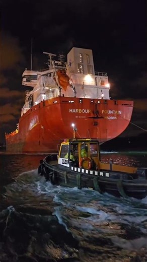 How Giant Ships Enter Port Safely ⚓ | Hidden Sea Skill#shorts