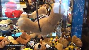 142K views · 699 reactions | It's not just you. Claw machines are definitely rigged. | Vox | Facebook