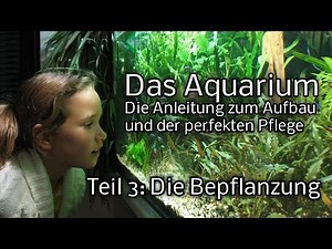 Das Aquarium - Die Anleitung zum Aufbau und Pflege. Teil 3: Bepflanzung