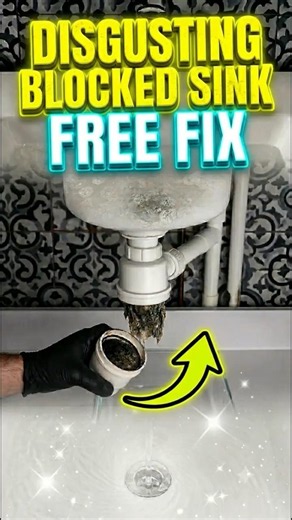 How to Unclog a Sink (for free)