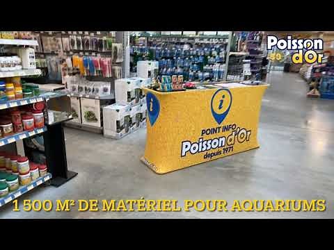 Histoire du Poisson d'Or
