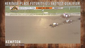 Stallionesearch.com on Reels