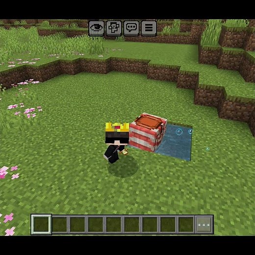 Minecraft simple spider Goes Poi Poi! ✨