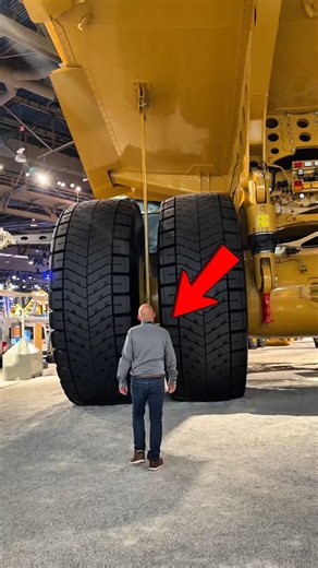 It’s very big, even bigger than a human!😱