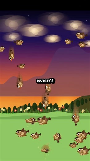 When China Declared War on Sparrow Birds