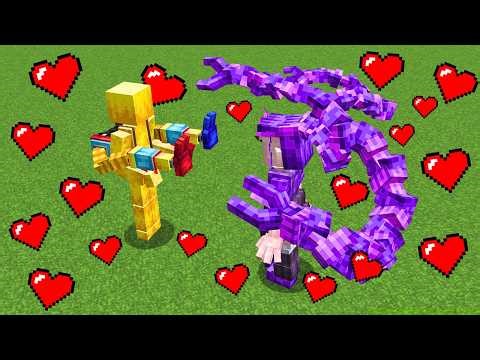 The Player ❤️ Lily Lovebraids