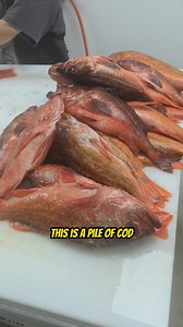 13K views · 48 reactions | A Pile of Cod by God! What are all these...