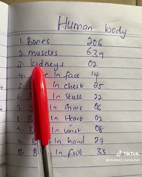 Understanding the Human Body in Nursing
