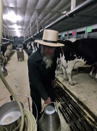 Inside a Real Dairy Farm in Amish Country 🐄🥛