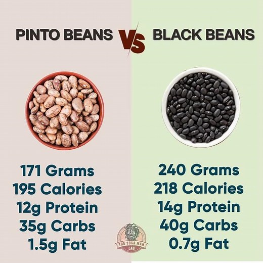 Pinto Beans vs Black Beans | Which Is Healthier? 🫘