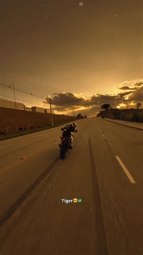 bilal mousaif on Instagram: "Bem-vindo ao @xj_grauu 💭🦍 . . . . . . . . . . #grauu#yamaha#motard#bresil#bmw#africa#twins#fypage#explorer"