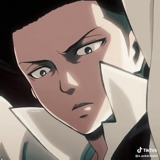 #leviackerman #leviackermanedit #attackontitan #shingekinokyojin #anime