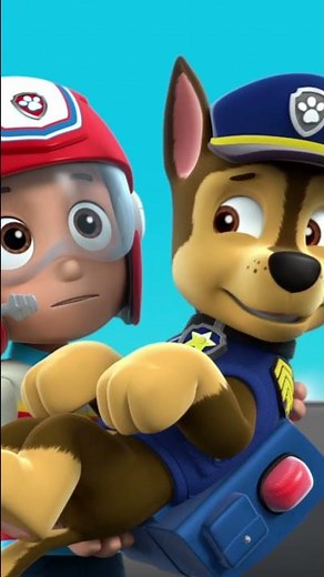 Chase got scared by flying frog - Paw patrol