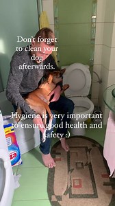 Most important step of them all.. cleanliness, hygiene and lots of love #newpost #education #disabledogs #petcare | Tailoftwospecies