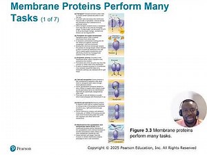Chapter 03 Cells The Living Units Part 01
