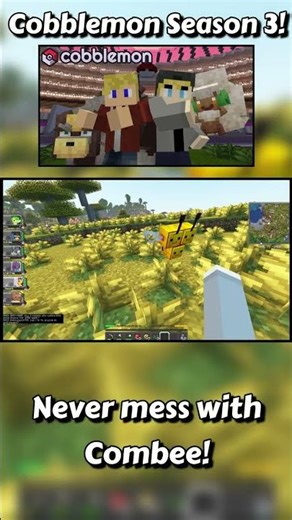 Never mess with combee #pokemon #pokemonchannel #cobblemon #minecraft