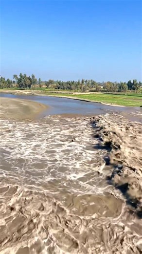 Monkey nain Daam k Door open kr dey 🤗 | United Creators