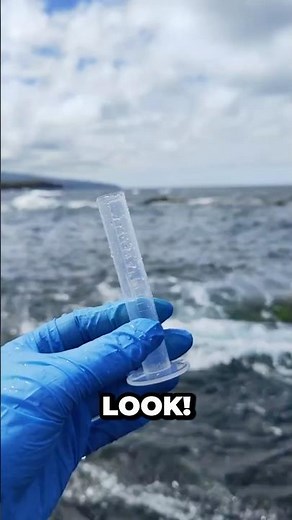 How Sea Water looks under the microscope! 😱😨