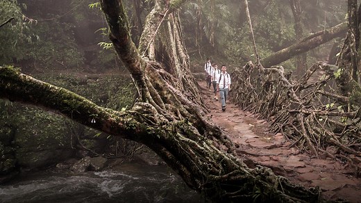 How to build a resilient future using ancient wisdom