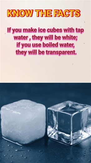 The Secret to Crystal Clear Ice Cubes ✨#facts #shorts The Facts O Book