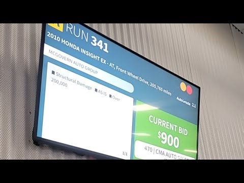 OSHANE D is live! E&M Services Car Auction Adesa Boston