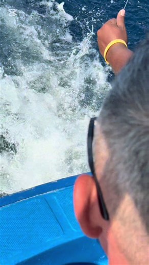 🦈 #fishing #sharkbite #fypシ゚ #fyp