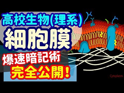 【高校生物 3】細胞【細胞膜の構造】を宇宙一わかりやすく