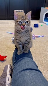 687K views · 10K reactions |  | Cubby and Friends | Facebook