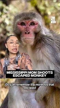 The latest on the Mississippi mom who shot an escaped lab monkey #complexnews