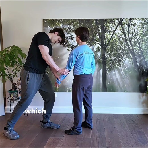 Song and Fascia in Tai Chi #taichi #fascia #tensegrity