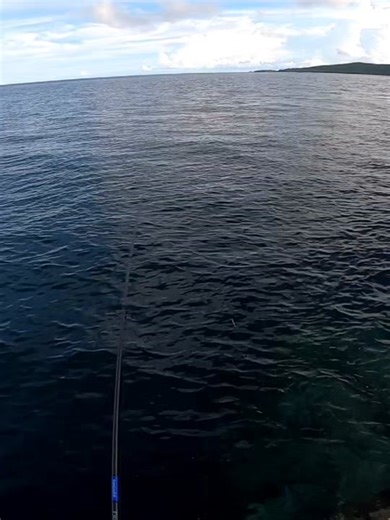 Mananabas🎣#fishtok #fishinglife #fishing #Fishingvideo #shorecasting #fishingrod