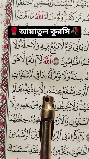 আয়াতুল কুরসি কারী আবু রায়হান বেশি বেশি শেয়ার করুন নিজেও পড়ুন #কোরআন_তেলাওয়াত #unfrezzmyaccount