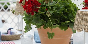 The All-American Edit