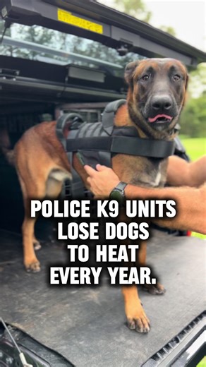 Shepherd Cooling Harness: Protecting Police K9s from Heat Stress