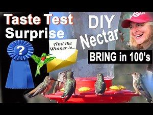 Easy HUMMINGBIRDS Feeder DIY Food | How to Make Hummingbird Nectar Recipe | BIG REVEAL Cane OR Beet?