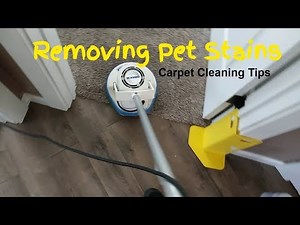 Oreck orbiter agitation - 2 room Carpet cleaning